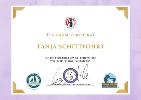 Pfötchentraining Tierarzttraining.webp