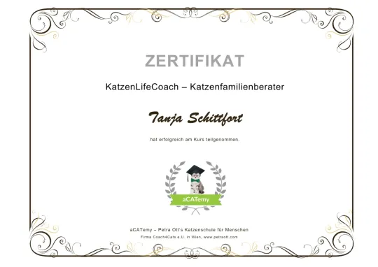 aCATemy Katzenfamilienberater.webp